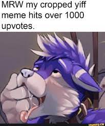 MRW my cropped yiff meme hits over 1000 upvotes. - iFunny