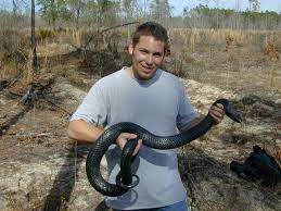 Eastern Indigo Snake Drymarchon Couperi Snake Household Pests If You Love Someone