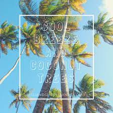 Travel Quote Cool Breeze And Coconut Trees Coconuts Quotes Tree Quotes Tree Captions