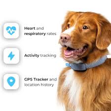 Health Tracker Invoxia Minitailz GPS ...