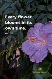 Flower Quote Flower Quotes Garden Quotes Botanical Gardens