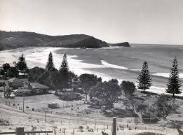 Gosford Avoca Beach Avoca New South Wales Central Coast