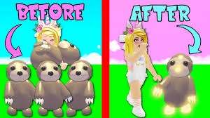 Even though adopt me codes existed in the past, the option to even redeem codes has now been removed from the game. Turning My Legendary Sloths Into Neon Sloths In Adopt Me Roblox Youtube