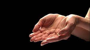 Praying hands, a reverent clasping of the hands together, is an expression used in most major religions during prayer. Hands Cupped Together Hand Holding Something Human Anatomy Reference Hand Pose