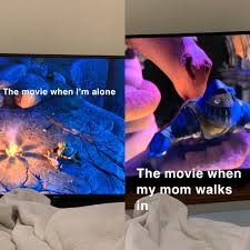 That Ll Do Donkey That Ll Do Memes