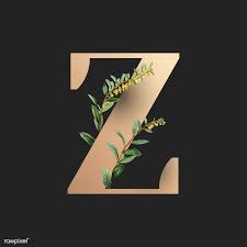 Download a free preview or high quality adobe illustrator ai, eps, pdf and high resolution jpeg versions. Download Premium Vector Of Botanical Capital Letter Z Vector By Aum About Botanical Capital Letter Z Vector Alphabet Beautiful Black And Black Background 58 Lettering Alphabet Fonts Letter Z Lettering