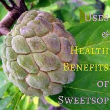 Uses And Health Benefits Of Sweetsop Or Sugar Apple Fruit Trees Fruit Apple Fruit Sugar Apples