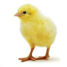 Pin En Logico Matematica