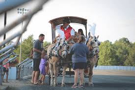 Ocean downs is a casino and harness racing track in berlin, maryland, near ocean city. Ocean Downs Live Racing Ocean Downs Casino