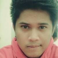 30+ "Vincent Mario" profiles