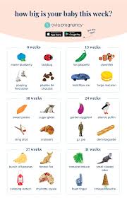 How big is baby at 27 weeks? Pin On Ovia Pregnancy App