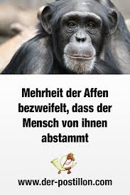 Maybe you would like to learn more about one of these? Mehrheit Der Affen Bezweifelt Dass Der Mensch Von Ihnen Abstammt Lustige Zitate Und Spruche Witzige Spruche Lustige Spruche