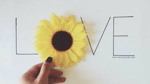 40 Trendy Flowers Quotes Words Plants In 2020 Trendy Flowers Flower Quotes Sunflower