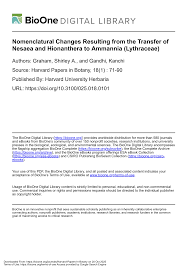 Image result for Nesaea rautanenii