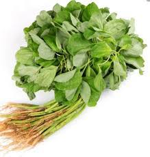Sayuran hijau ini punya banyak nutrisi. Sayur Bayam Gmfreshdelivery