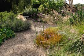 Graser Spielen Auch Im Garten Von Beth Chatto Eine Grosse Rolle Sie Finden Im Kiesgarten Ebenso Verwendung Wie Im Feuchten T Idees Jardin Jardins Plante Vivace