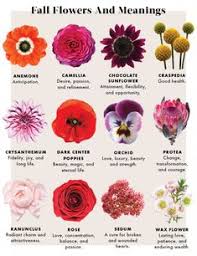 This lesson will teach you how to gauge the amount of wholesale flowers you a mixed bouquet refers to a bouquet with a rotation of focal flowers, secondary flowers, fillers, and greens. 24 Flower Names For Arrangements Ideas Flower Names Types Of Flowers Flower Arrangements