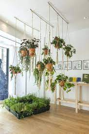 how to hang plants from ceiling planters outstanding s hooks for hanging baskets without indoor growing strawberry in