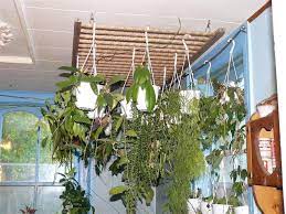 Hanging Plants Recycling Baby Crib Panels All Things Plants Hanging Plants Vertical Garden Diy Inside Plants