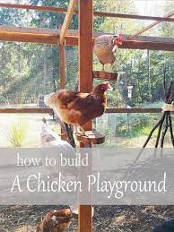 Chicken Run Playground Chicken Garden Chicken Coop Run Chicken Diy