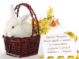 Открытка со светлой пасхой, христос воскрес. Pin By Diana Bercheva On Pozdravitelni Kartichki Animals Rabbit