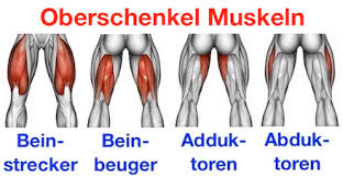 Gerade zu den stoßzeiten zu feierabend ist dieses problem präsent. Beinmuskeln Trainieren Frau Zuhause Bilder Videos