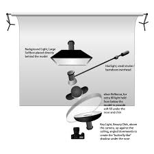 High Key Or Low Key Butterfly Lighting