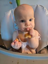 Digestive blends for constipated babies