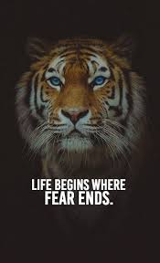 Life Begins Where Fear Ends Tiger Quotes Lion Quotes Motivational Words