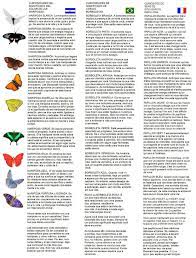 Curiosidades Del Significado Del Color De Las Mariposas Significado De Los Colores Colores Curiosidad