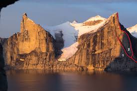 Image result for Beluga Brown 2014 S3