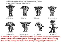 Dichotomous key worksheet answers key. Dichotomous Key Worksheet Norns