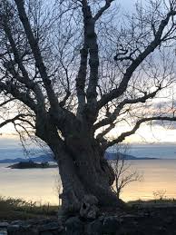 Sunnhordland folkehøgskule er en frilynt folkehøgskole som ligger på halsnøy i kvinnherad i vestland fylke. Sunnhordland Fhs Sunnhordlandfhs Twitter