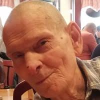 Plant Memorial Trees