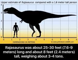 Online calculator to convert feet to meters (ft to m) with formulas, examples, and tables. Upper Estimate Of Rajasaurus Compared With A 1 8 Meter Tall Person Rajasaurus Was About 25 30 Feet 7 6 9 Meters Long And About 8 Feet 2 4 Meters Tall Weighing About 3 4 Tons Rajasaurus