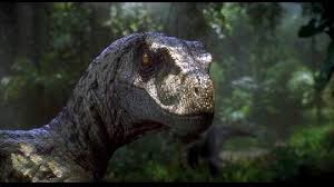 The park's token pterosaurs were ambiguous situation: Jurassic Park Fan Art Jurassic Park Velociraptor Jurassic Park Jurassic Park Jurassic Park World