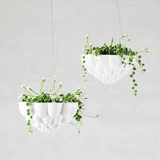 We did not find results for: Nothing Beats Our Classic Jelly Hanging Planter In White One Of Our Most Loved Designs To This Day And Always Makin Hanging Planters Planters Little Flowers