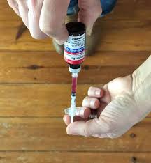 Chronic kidney disease—when the level of kidney function declines slowly (chronically), cats may compensate for months to years. Giving Your Cat A Vitamin B12 Boost The Art Of Doing Stuff