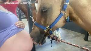 Horse fascinated by pregnant owner's baby bump - ABC7 Chicago