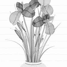 Iris Vase 3d Max Iris Art Art Forms
