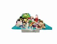 Stuffed Animal Sleepover