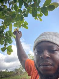 Relationship Issues and Expenses