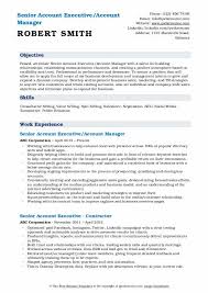 Senior director job description sample 9 examples in pdf. Senior Account Executive Resume Samples Qwikresume