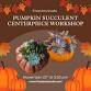✨Pumpkin Succulent Centerpiece Workshop ✨ event image