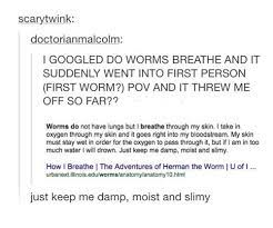 'naur' brings the australian accent to memes. Scarytwink Doctorianmalcolm I Googled Do Worms Breathe And It Suddenly Went Into First Person First Worm Pov And It Threw Me Off So Far Worms Do Not Have Lungs But I Breathe