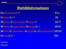 Ppt Anamie Powerpoint Presentation Free Download Id 4853737