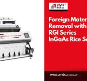 RGI InGaAs Rice Color Sorter Machine,Optical Sorting Machine ...