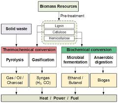 Flow Chart For Biomass Conversion And Solid Waste Conversion