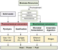 flow chart for biomass conversion and solid waste conversion