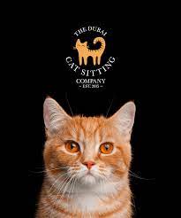 3 cats and a dog pet sitting | serving myrtle beach, surfside beach & the grand strand licensed & bonded pet sitting services serving: The Dubai Cat Sitting Company